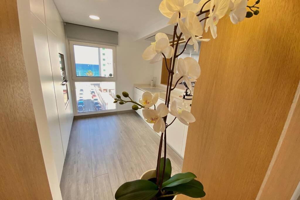 Central Modern Apartment 3 Bed 2 Bath El Campello Zewnętrze zdjęcie